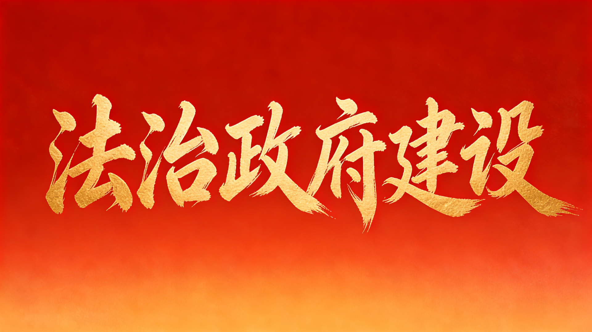 法治政府建设工作