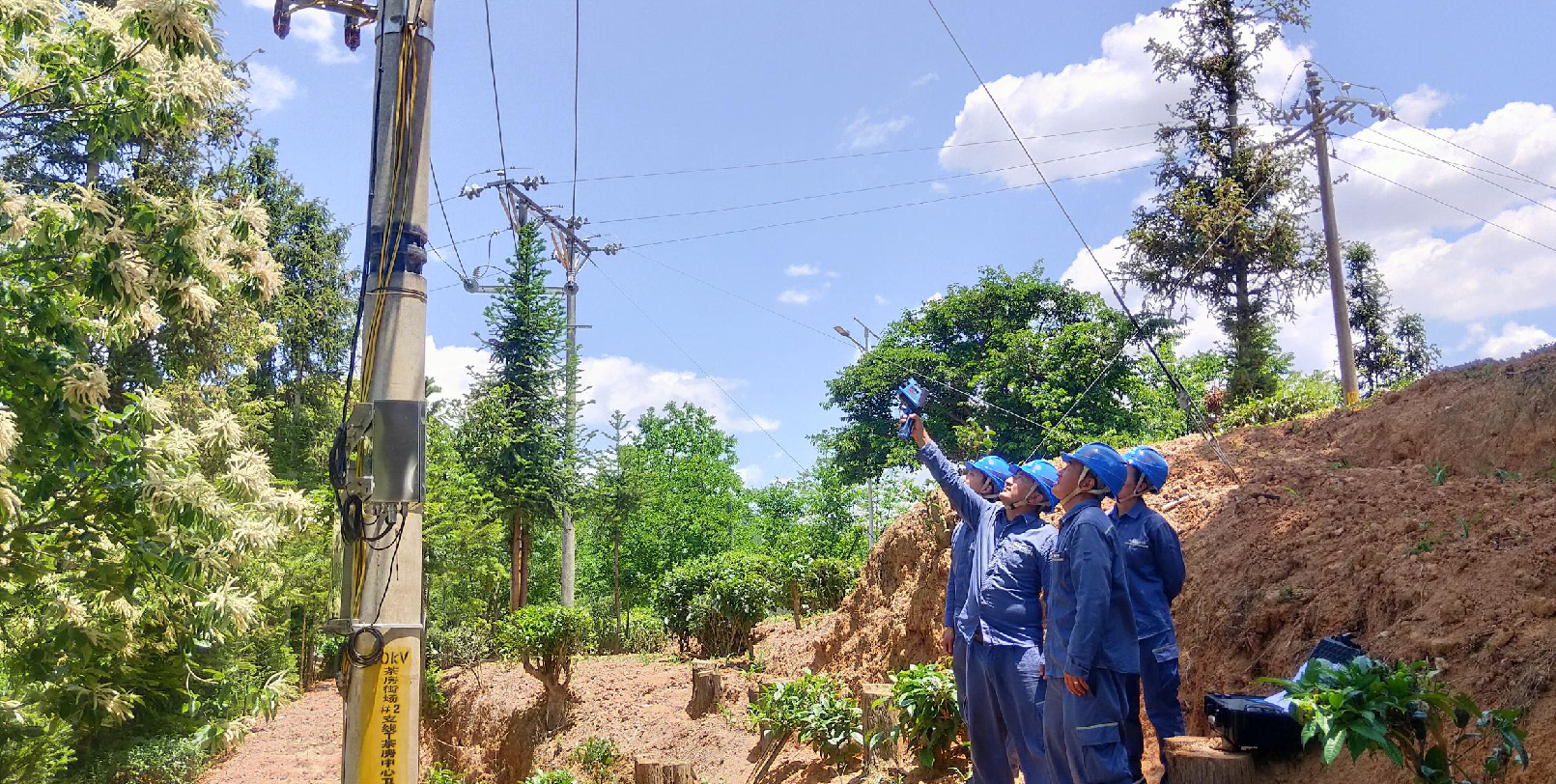安全“电”亮春茶图，贴心服务助农增收