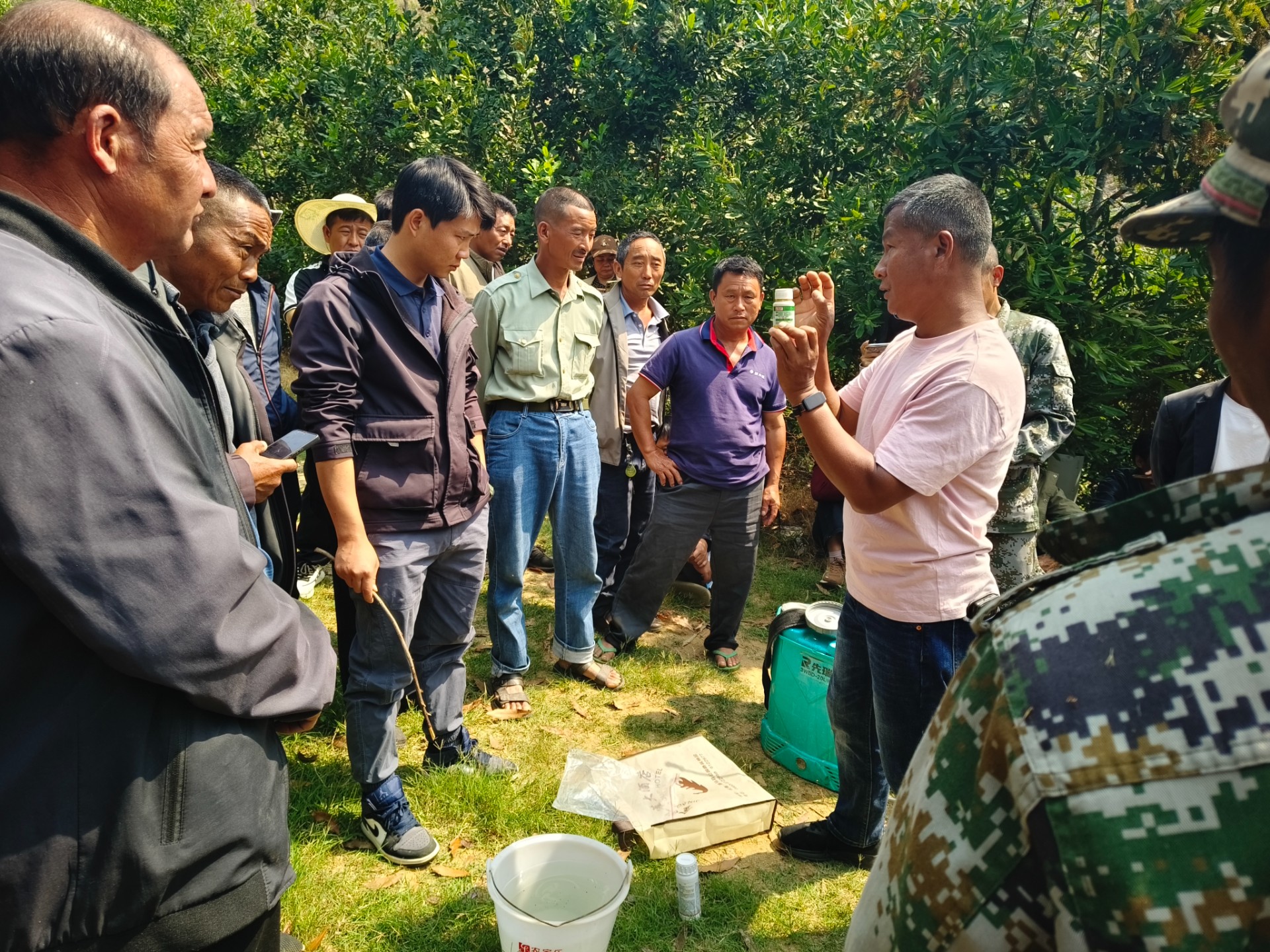 技赋能促增收 果提质启新程——茂兰镇开展坚果提质增效专题培训会