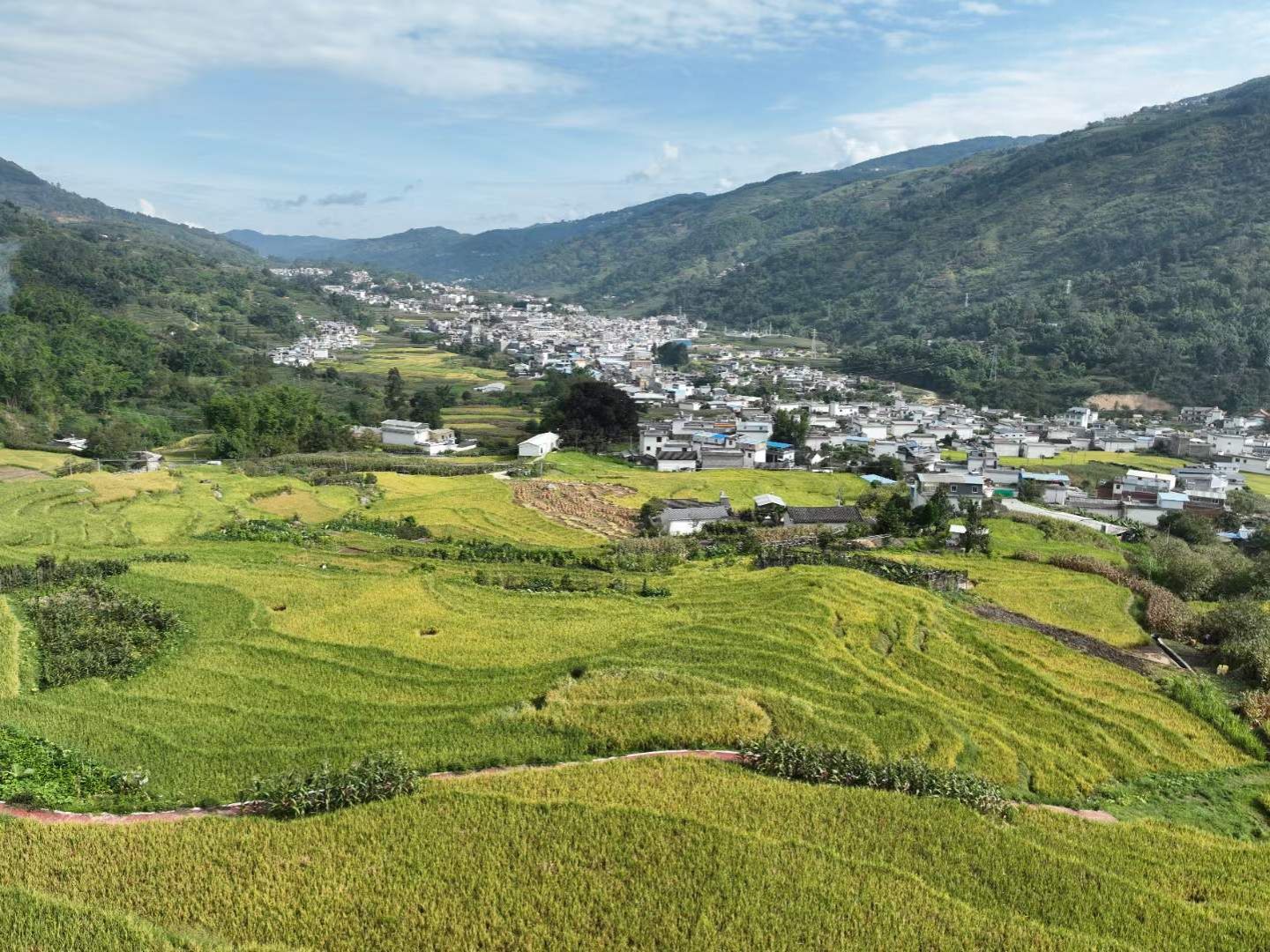 咸阳高新区大寨图片