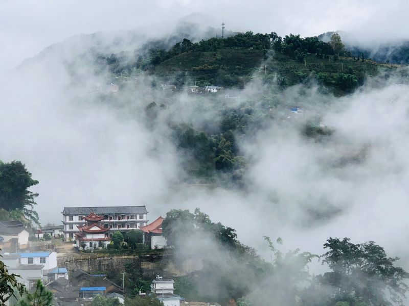 千年古茶之乡 醉美山水漫湾