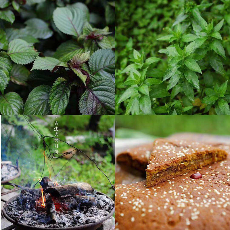 火把节，我在茶马古道驿站哨街等您