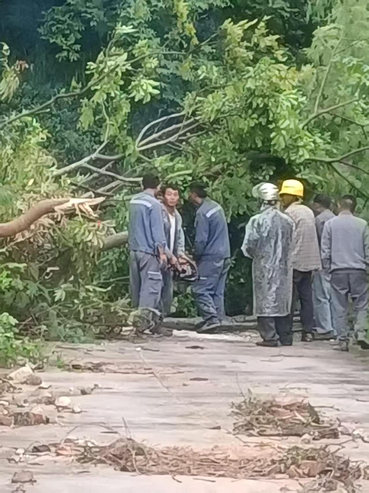微信图片_20250703111316.jpg