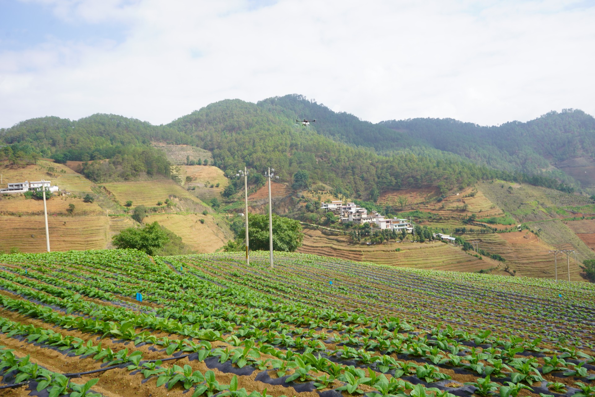 DSC08690.JPG